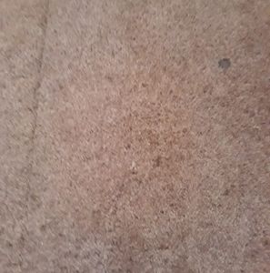 Meet your Posher, Ken